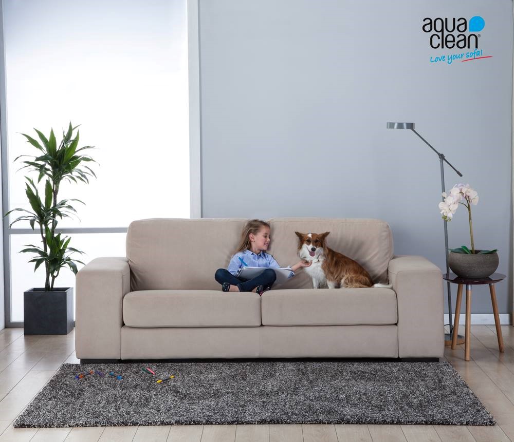 sofa y mascotas
