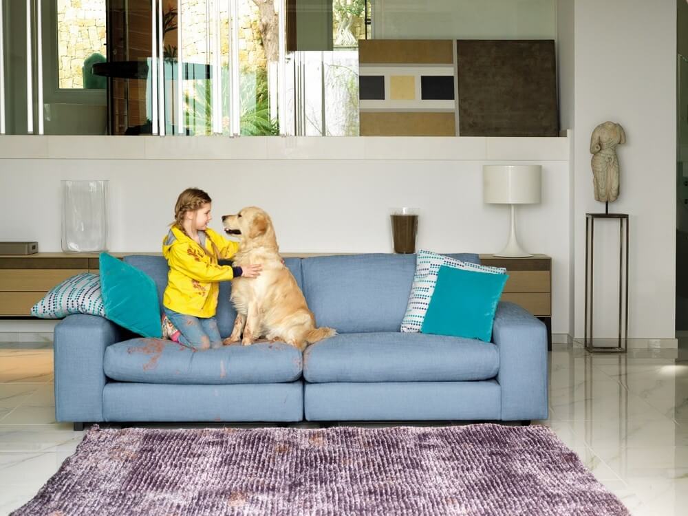 How To Pick Upholstery For Households With Pets