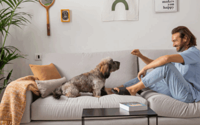 Más amor, menos manchas: aquaclean extreme para hogares con mascotas